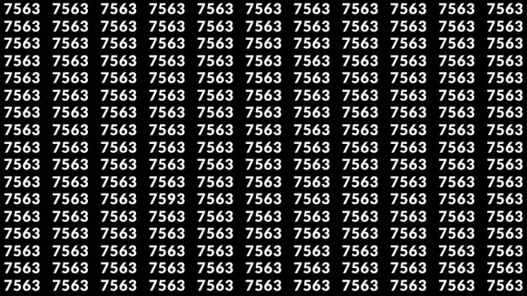 Observation Skill Test: If you have Hawk Eyes Find the number 7593 among 7563 in 13 Seconds?