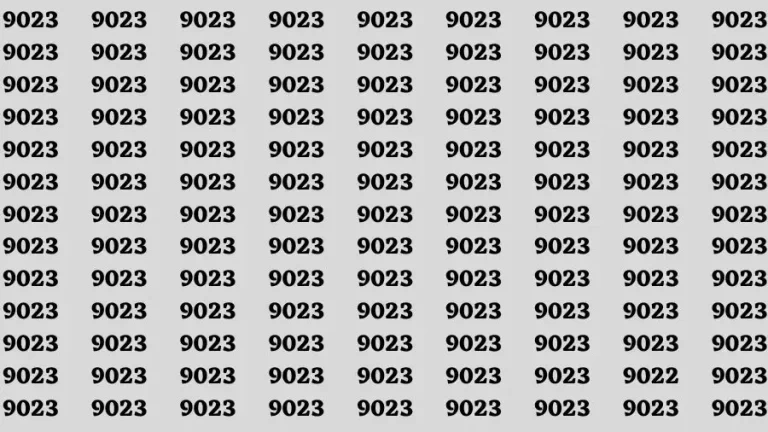 Observation Brain Challenge: If you have Sharp Eyes Find the number 9022 in 20 Secs