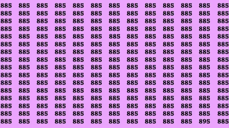 Observation Find it Out: If you have Eagle Eyes Find the number 895 in 10 Secs