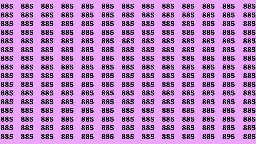 Observation Find it Out: If you have Eagle Eyes Find the number 895 in 10 Secs