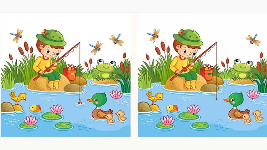 Brain Teaser Spot the Difference Game: Only a genius can find the 3 differences in less than 15 seconds!