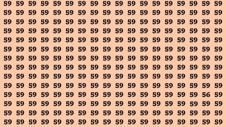 Observation Brain Challenge: If you have 50/50 Vision Find the Number 56 in 15 Secs