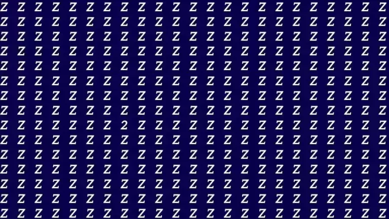 Observation Skill Test: If you have Hawk Eyes Find the number 2 among Z in 18 Seconds?