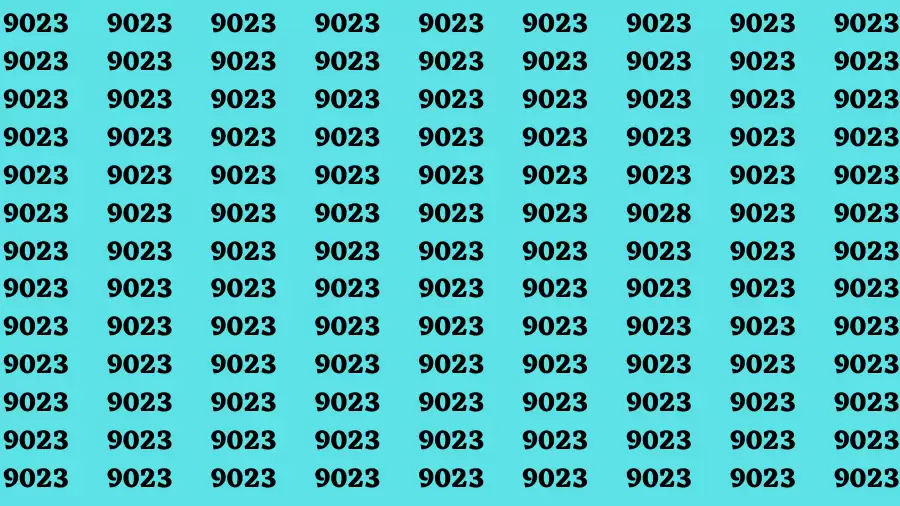 Observation Brain Challenge: If you have Eagle Eyes Find the Number 9028 in 15 Secs