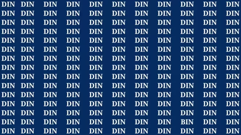 Brain Test: If you have Hawk Eyes Find the Word Bin among Din in 15 Secs