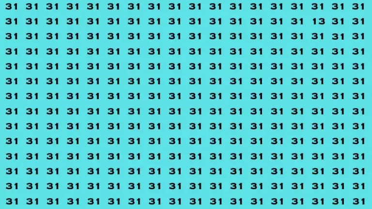 Observation Brain Test: If you have Keen Eyes Find the Number 13 among 31 in 15 Secs