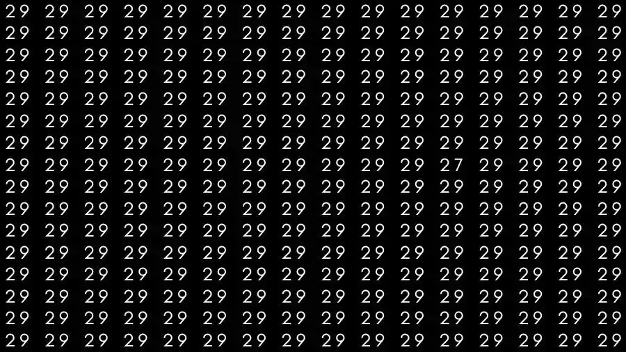 Observation Skills Test: If you have Eagle Eyes Find the number 27 among 29 in 10 Seconds?