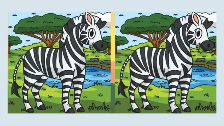 Brain Teaser Picture Puzzle: Only a genius can find the 3 differences in less than 15 seconds!