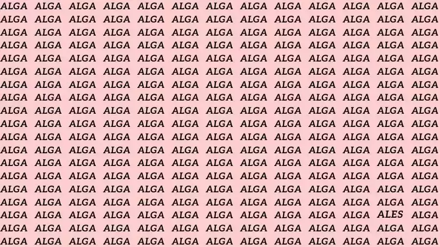 Observation Skills Test: If you have Eagle Eyes find the Word Ales among Alga in 10 Secs