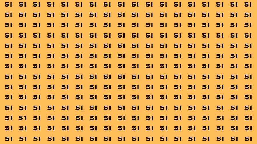 Brain Test: If you have Eagle Eyes Find the Number 51 in 15 Secs