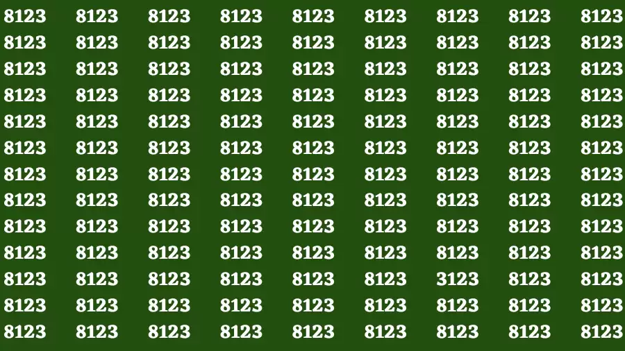 Observation Brain Test: If you have Eagle Eyes Find the number 3123 in 12 Secs