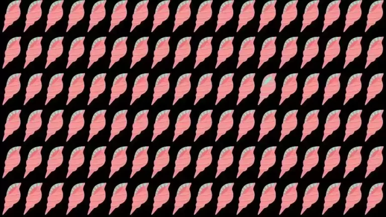 Optical Illusion Brain Test: If you have Eagle Eyes find the Odd Shell in 12 Seconds