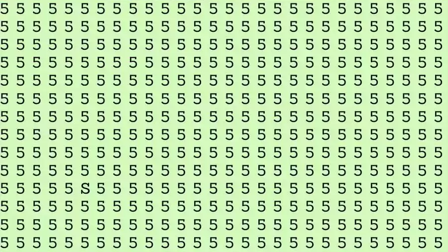 Observation Skills Test: If you have Eagle Eyes Find the letter S among 5 in 14 Seconds?