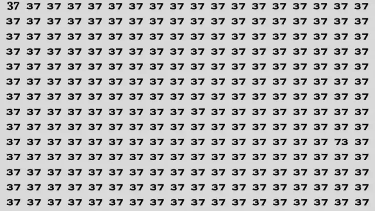 Observation Brain Test: If you have Eagle Eyes Find the number 73 in 12 Secs