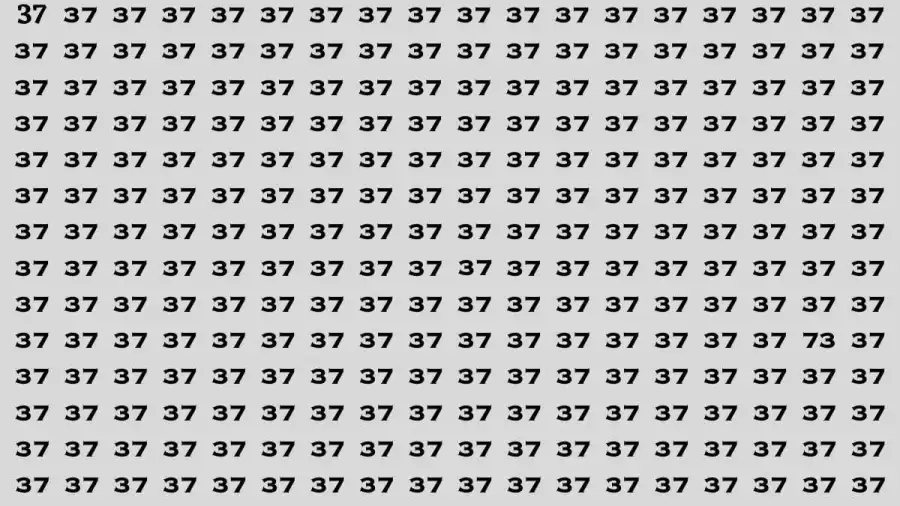 Observation Brain Test: If you have Eagle Eyes Find the number 73 in 12 Secs