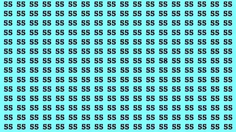 Optical Illusion Challenge: If you have Eagle Eyes Find the Number 58 among 55 in 12 Secs