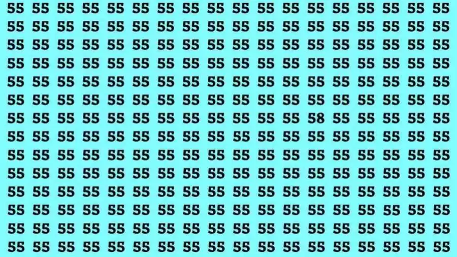 Optical Illusion Challenge: If you have Eagle Eyes Find the Number 58 among 55 in 12 Secs