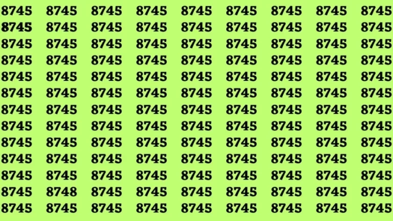 Brain Test: If you have Eagle Eyes Find the Number 8748 in 15 Secs