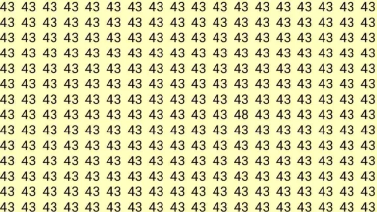 Optical Illusion Challenge: If you have Hawk Eyes Find the number 48 among 43 in 9 Seconds.