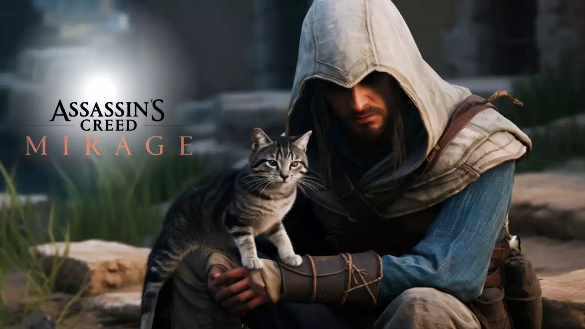 Assassins Creed Mirage Cat, Where to Find Assassin’s Creed Mirage Cat?