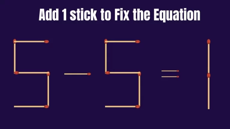 Brain Teaser: 5-5=1 Add 1 Matchstick to Fix the Equation | Matchsticks Puzzle