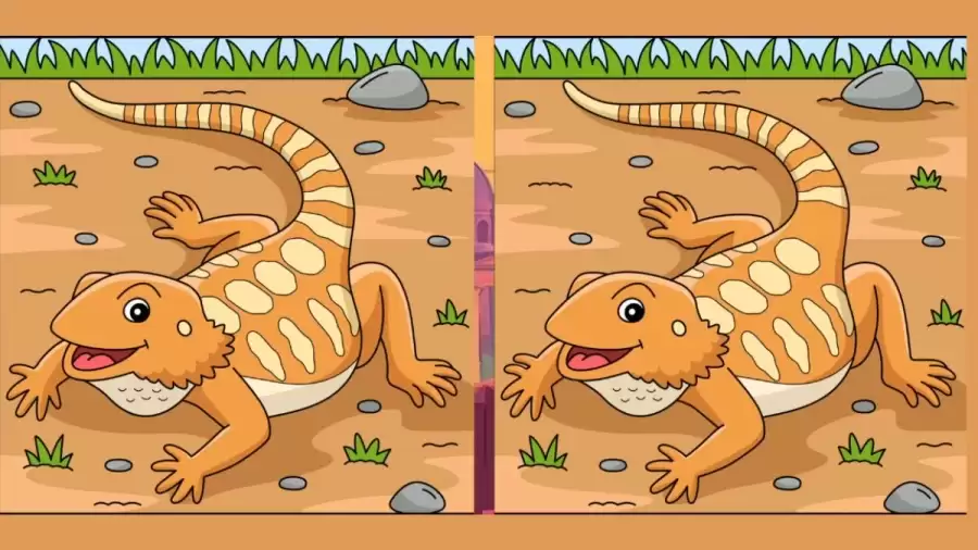 Brain Teaser – Can You Find 3 Differences In These Pictures? Picture Puzzle