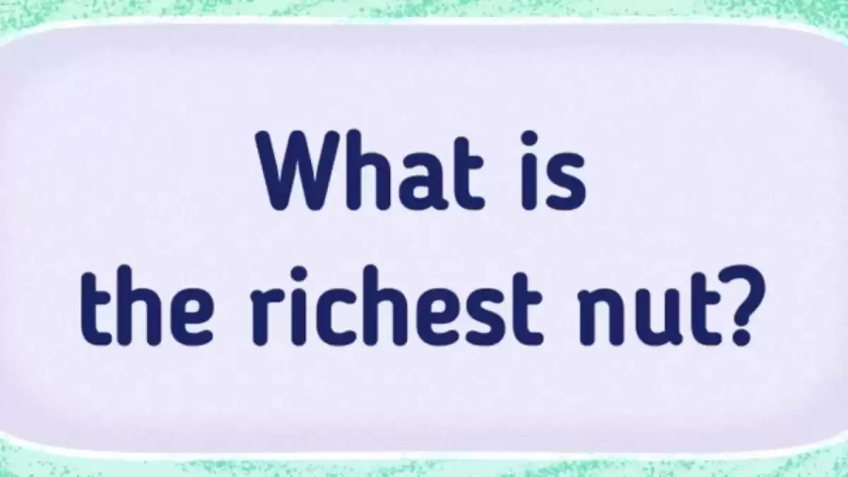 Brain Teaser Funny Riddle: What Is The Richest Nut?