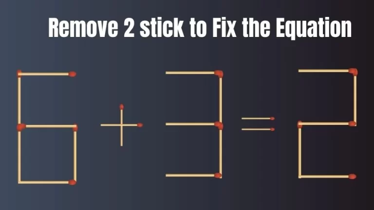 Brain Teaser IQ Test: Remove 2 Matchsticks to Fix the Equation