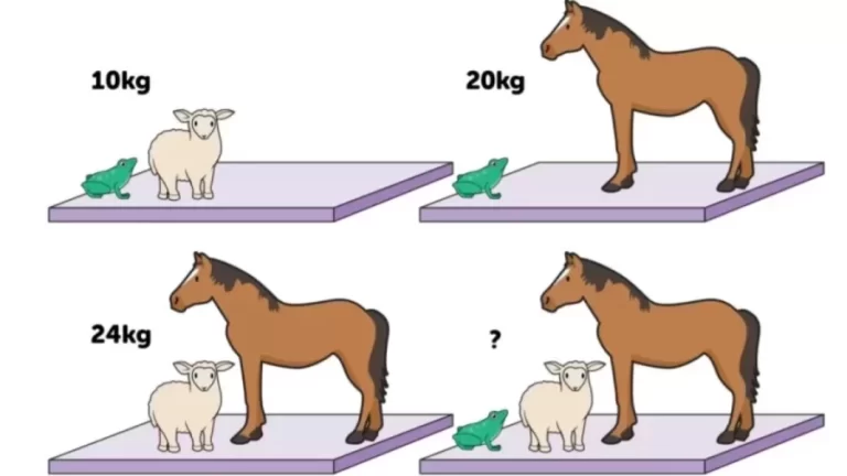 Brain Teaser Math Test: Can You Guess The Weight Of Each Animal 20 Secs?