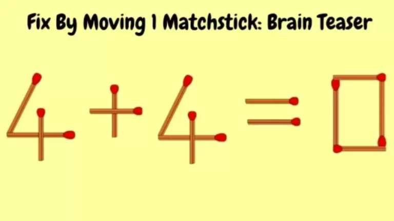 Brain Teaser Math Test: Fix 4+4=0 Move 1 Matchstick to Fix the Equation by 20 Secs | Matchstick Puzzle