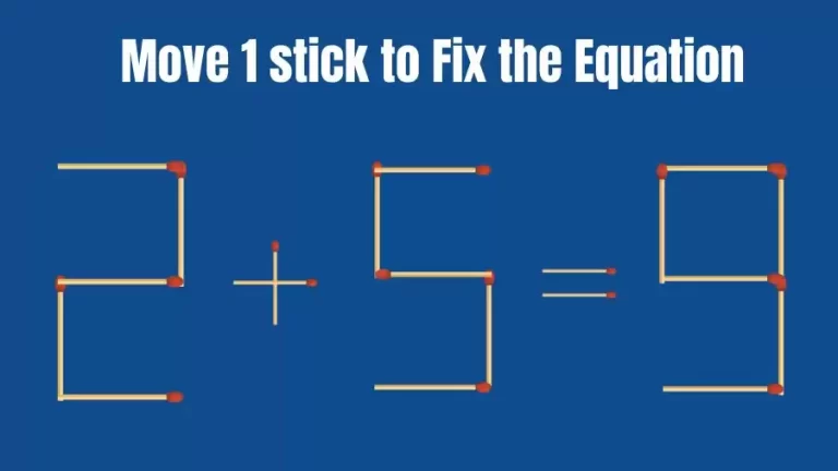 Brain Teaser: Move 1 Stick to Make the Equation 2+5=9 True