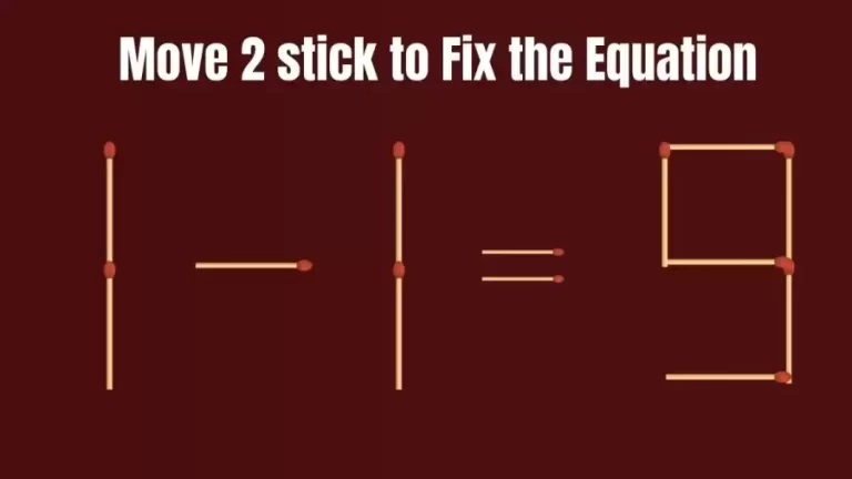 Brain Teaser for IQ Test: 1-1=9 Fix The Equation By Moving 2 Sticks | Matchstick Puzzle