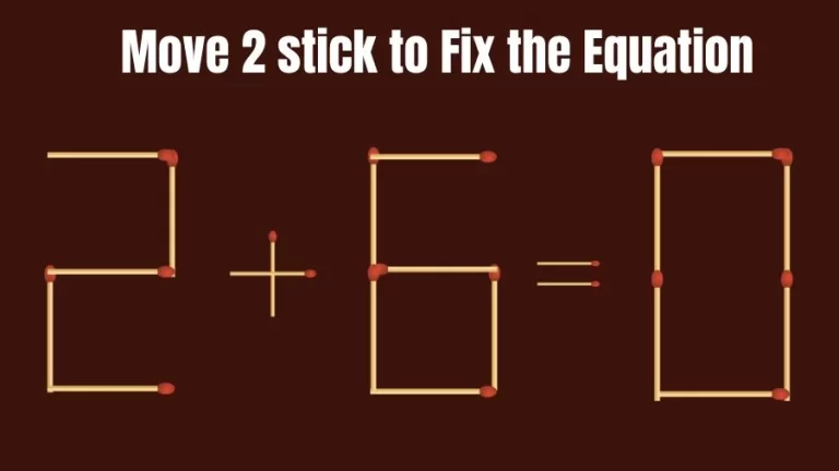 Brain Teaser for IQ Test: 2+6=0 Fix The Equation By Moving 2 Sticks | Matchstick Puzzle