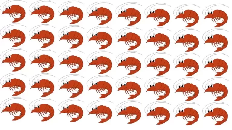 Brain Test: Can you spot the Odd Shrimp in this Image? Picture Puzzle