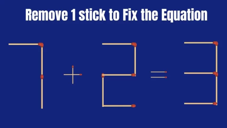 Matchstick Brain Teaser: 7+2=3 Remove 1 Matchstick to Fix the Equation | Matchsticks Puzzle