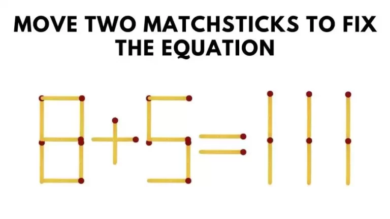 Matchstick Brain Teaser: 8+5=111 Move Two Matchsticks To Fix The Equation | Matchstick Puzzle