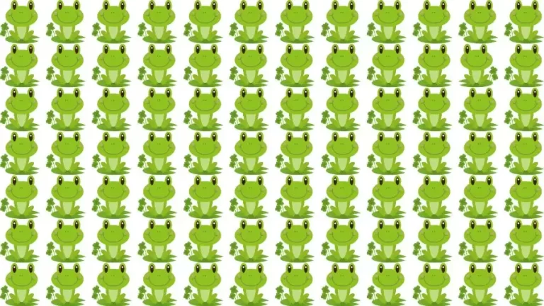 Observation Brain Test: Can you find the Odd Frog in this Picture in 15 Secs?