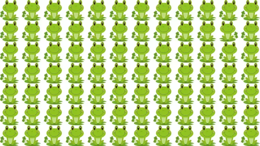 Observation Brain Test: Can you find the Odd Frog in this Picture in 15 Secs?