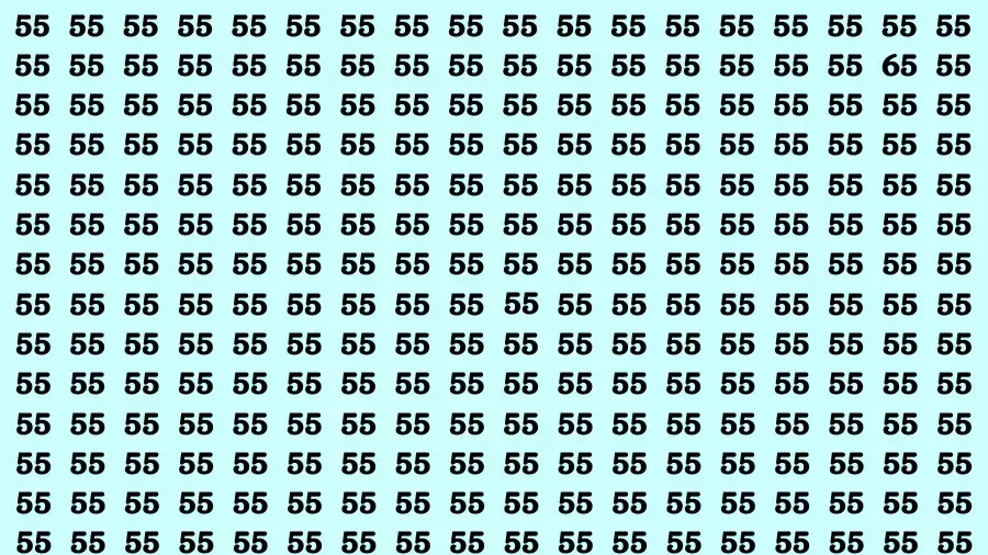 Observation Brain Test: If you have 50/50 Vision Eyes Find the Number 65 in 15 Secs