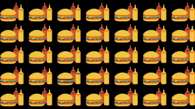 Observation Skill Test: Can you find the Odd Burger in 10 Seconds?