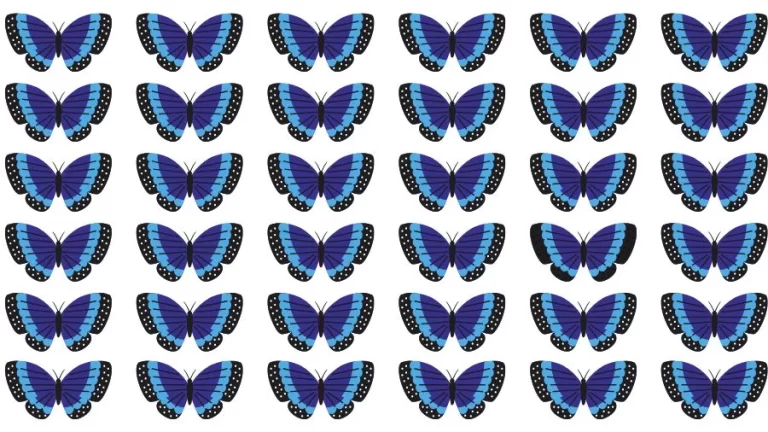 Observation Skill Test: Can you find the Odd Butterfly in 10 Seconds?