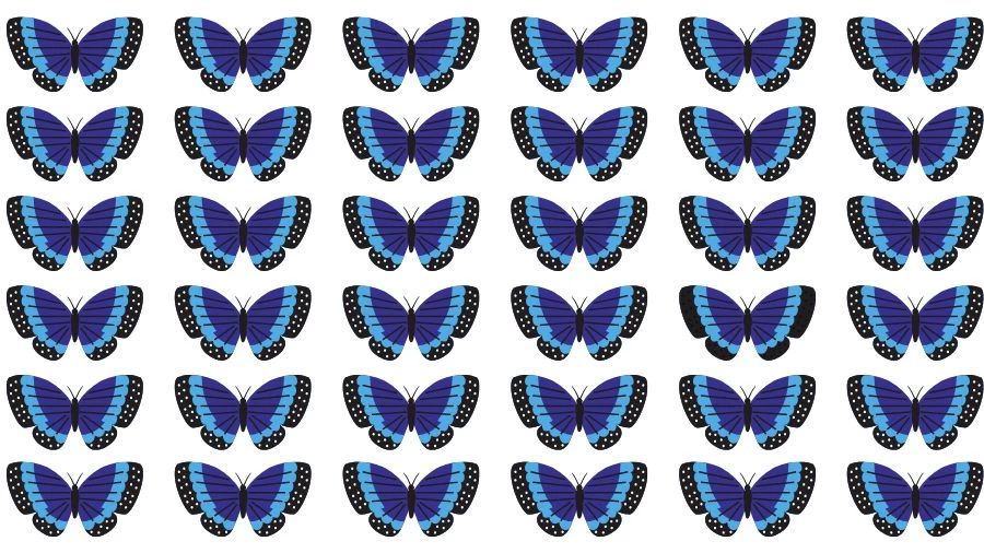 Observation Skill Test: Can you find the Odd Butterfly in 10 Seconds?