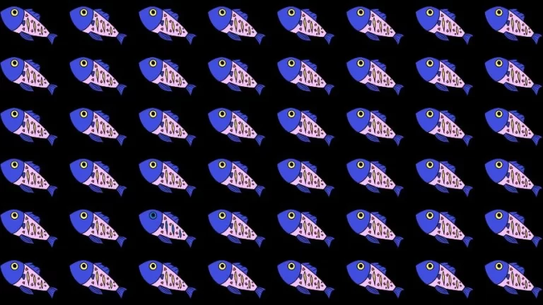 Observation Skill Test: Can you find the Odd Fish in 10 Seconds?