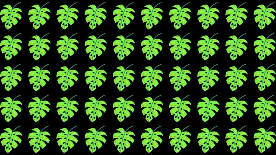 Observation Skill Test: Can you find the Odd Leaves in 10 Seconds?