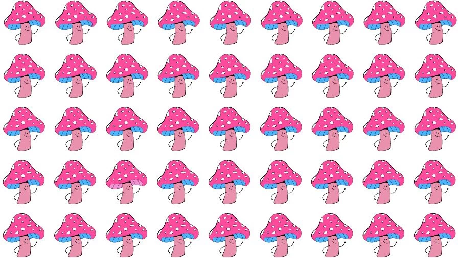 Observation Skill Test: Can you find the Odd Mushroom in 10 Seconds?