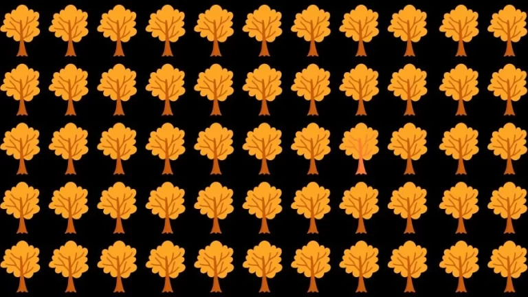 Observation Skill Test: Can you find the Odd Tree in 10 Seconds?