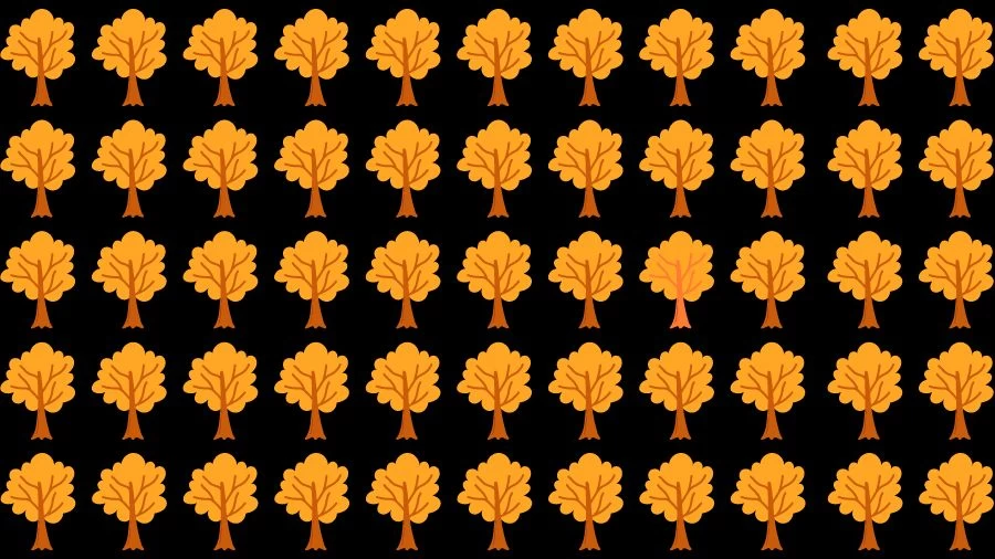 Observation Skill Test: Can you find the Odd Tree in 10 Seconds?