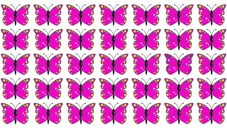 Observation Skills Test: Can you find the Odd Butterfly in 10 Seconds?