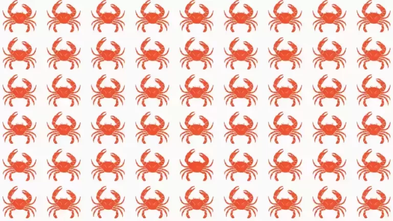 Observation Skills Test: Can you find the Odd Crab in 10 Seconds?