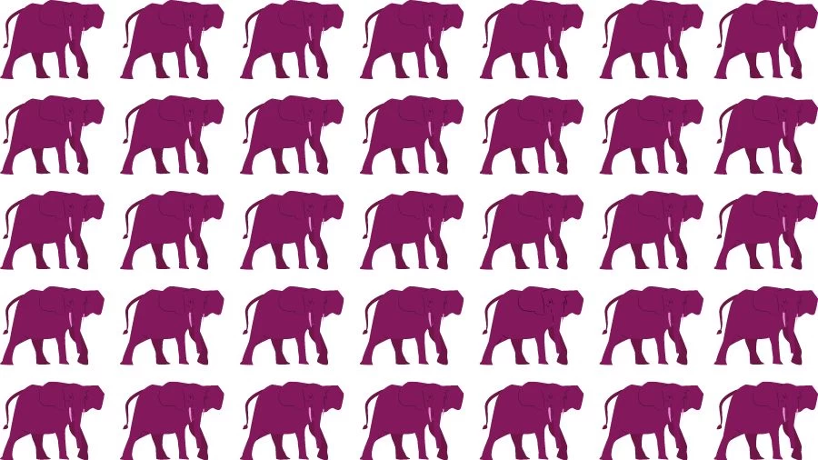 Observation Skills Test: Can you find the Odd Elephant in 10 Seconds?